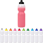 Alpine Plastic Water Bottle - 800ml — Print Fast Express